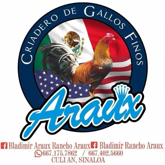 #3 PARA EL BAILE RANCHO ARAUX BLADIMIR