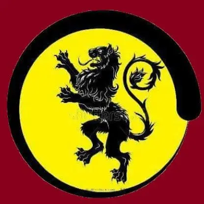 DUDAS MECÁNICAS; LION CAR