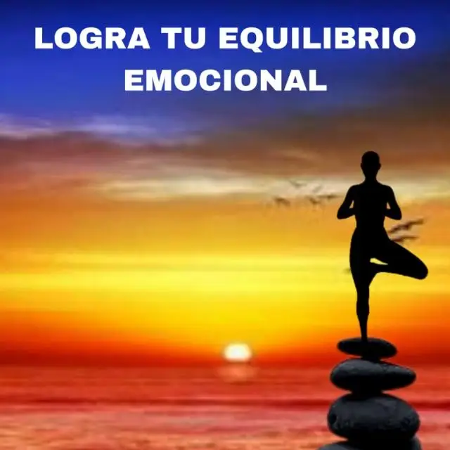 Logra tu equilibrio emoc