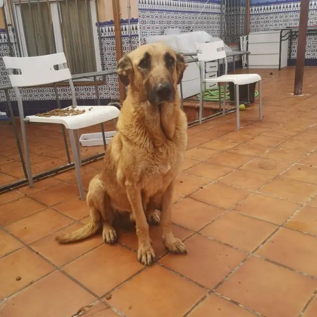 mama residencia bailen